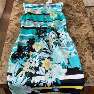 Women’s cache dress